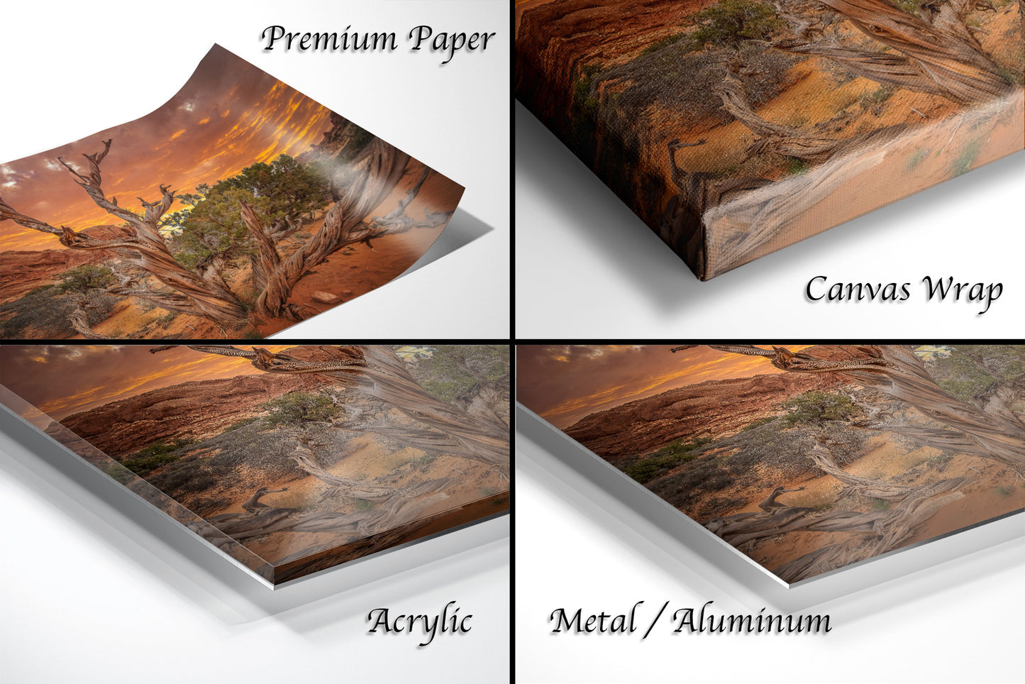 a series of four photos of a desert landscape