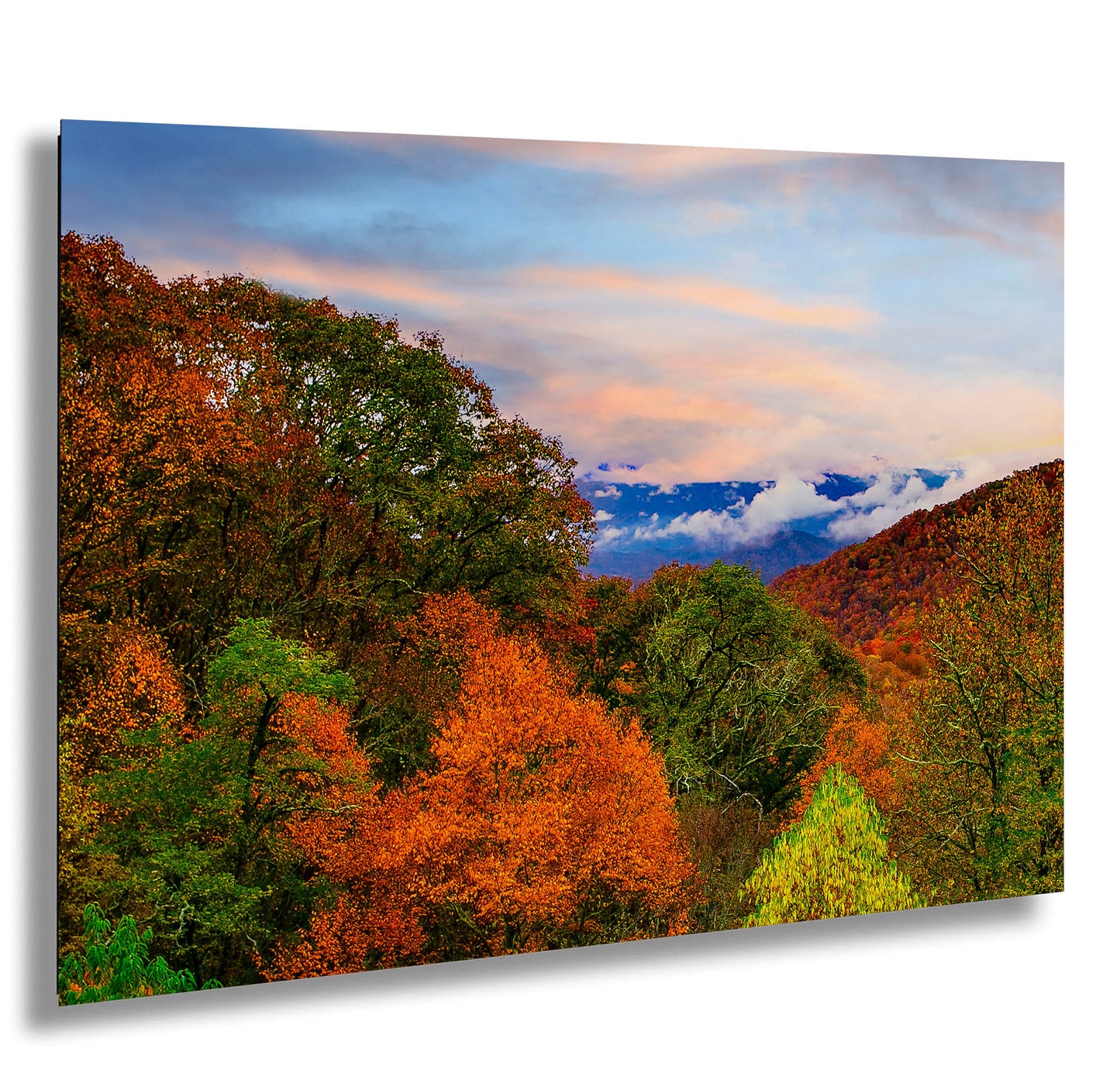 a scenic view of the mountains and trees in autumn