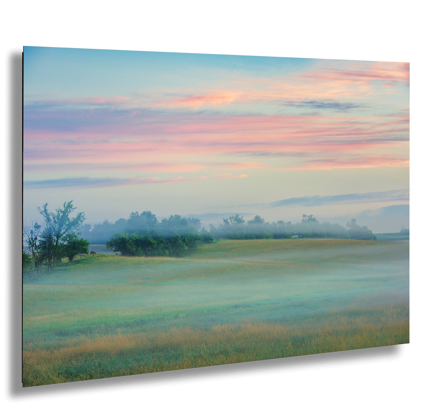a foggy field with trees in the distance