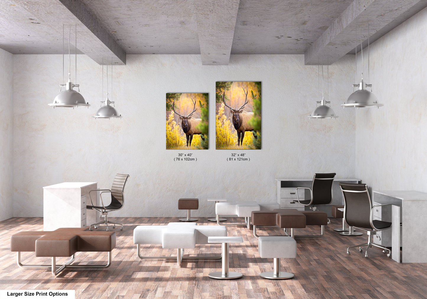 a couple of paintings of a deer in a room