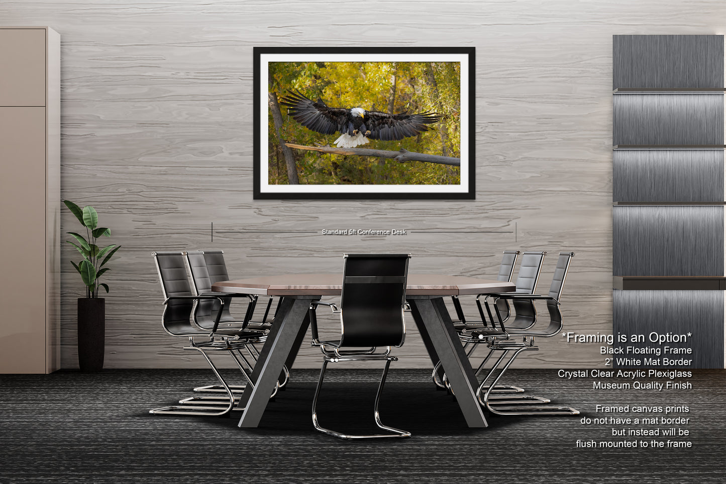 a picture of an eagle landing on a branch