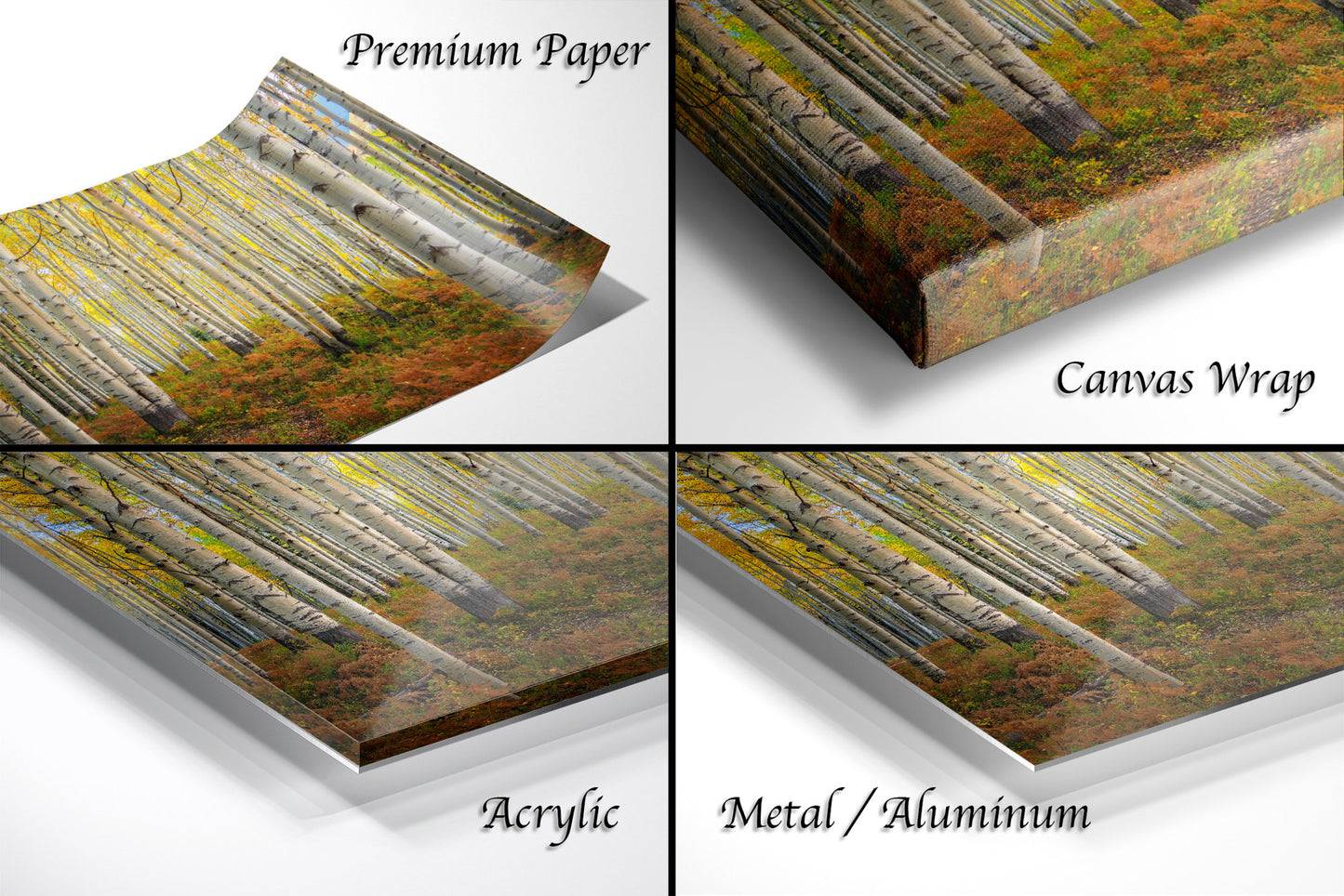 a series of four photos of a forest