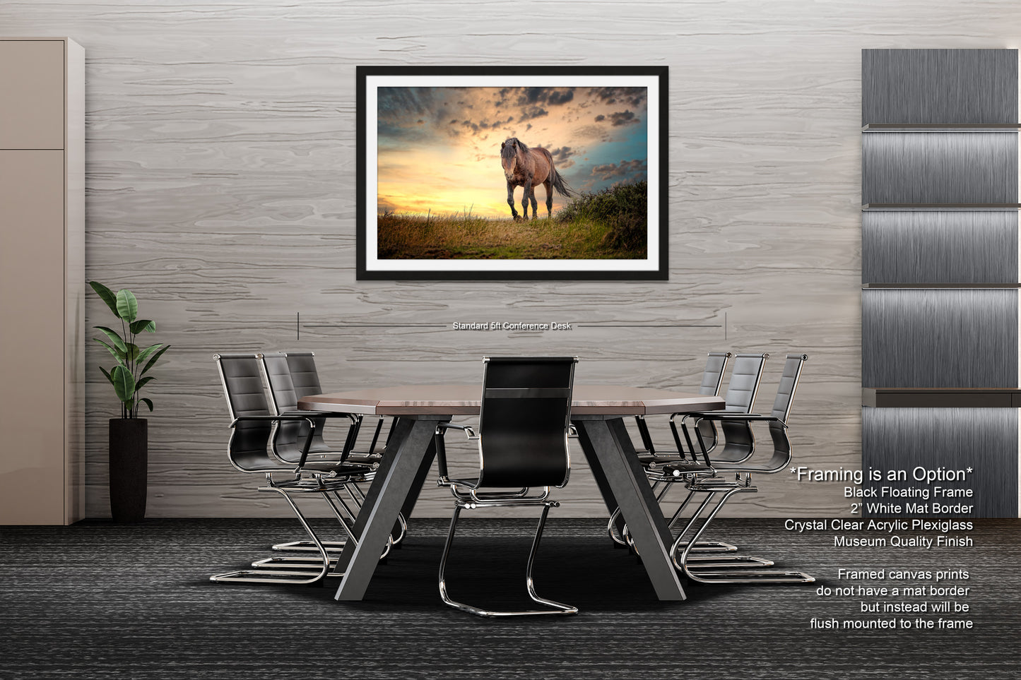 a picture of a horse standing in a field