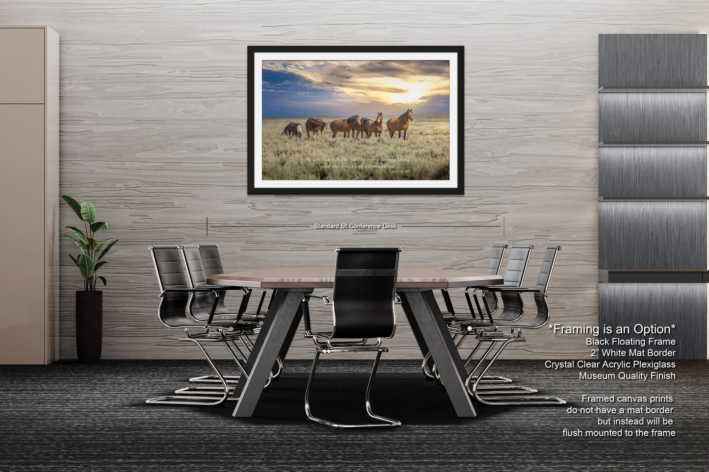 a picture of a group of horses in a field