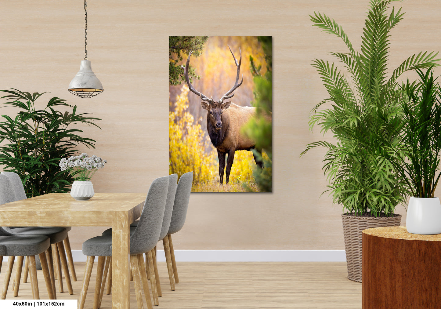 a deer standing in a field of yellow flowers