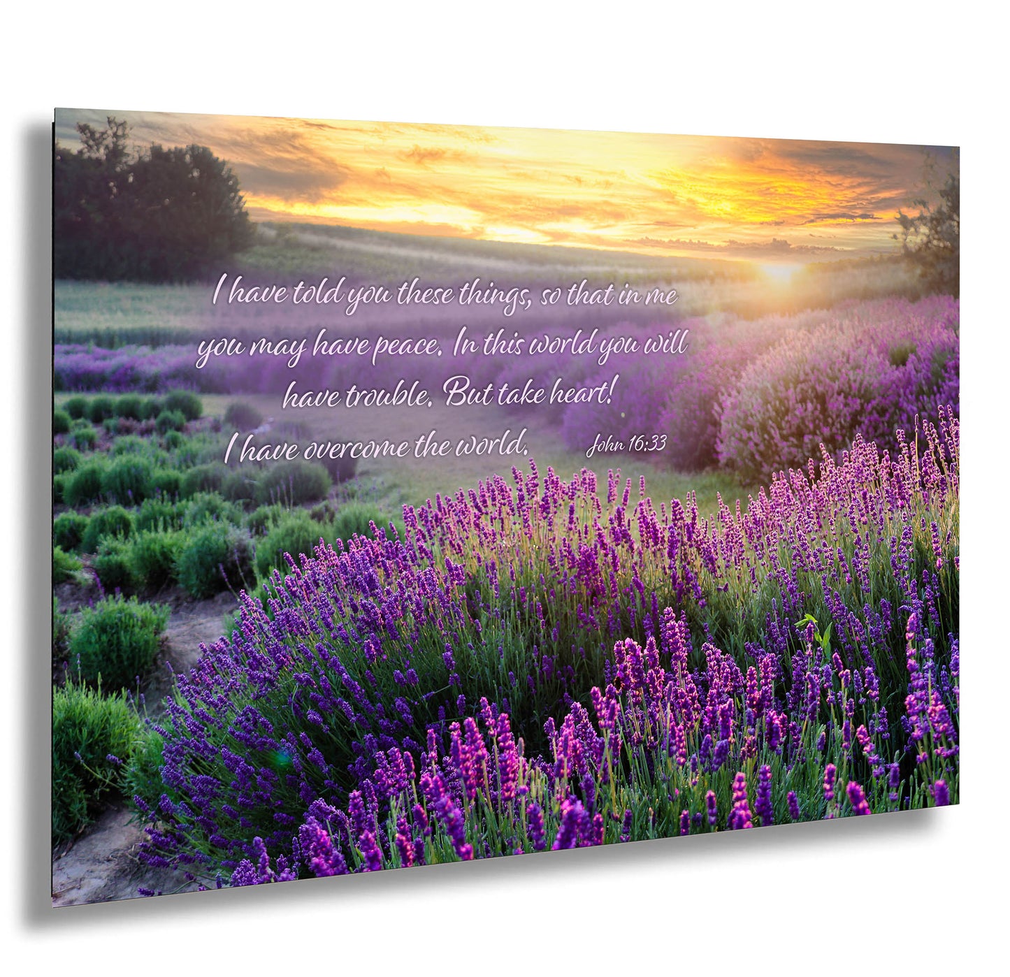 John 16:33 Lavender Fields Inspirational Canvas Wall Art Print, Christian Religious Decor for Home or Office