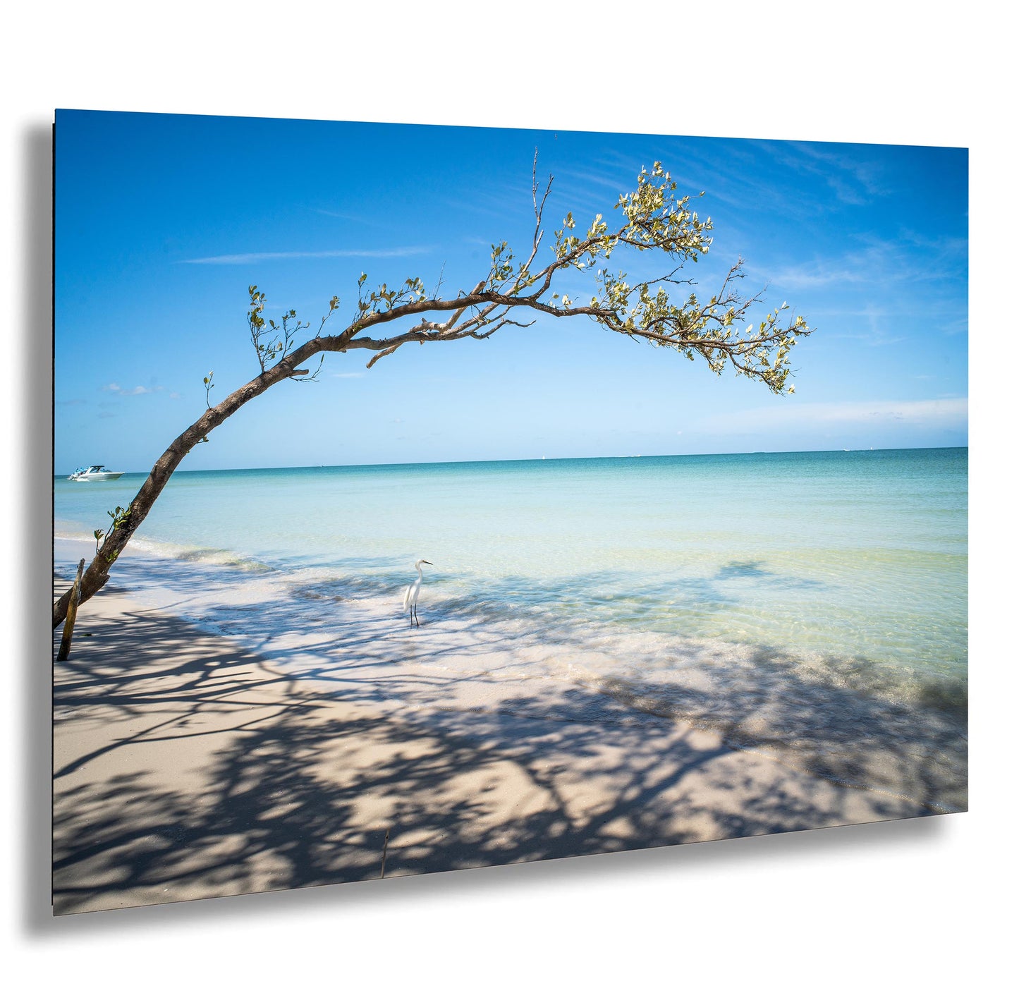 Florida Beach