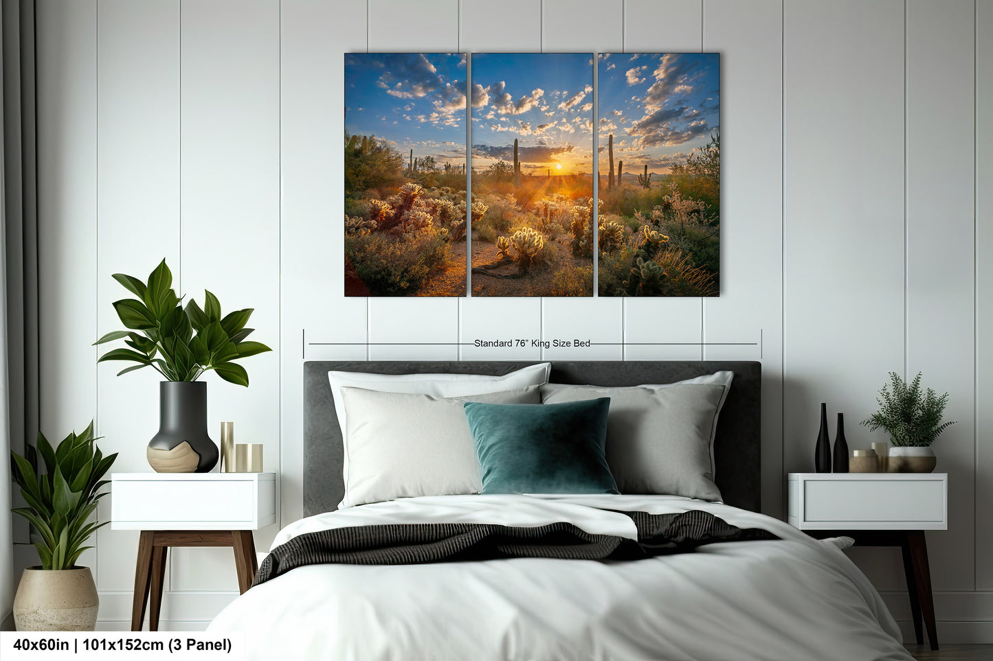 Sonoran Desert Sunrise, Carefree Arizona, backlit saguaro cactus and cholla cactus, Photography wall art