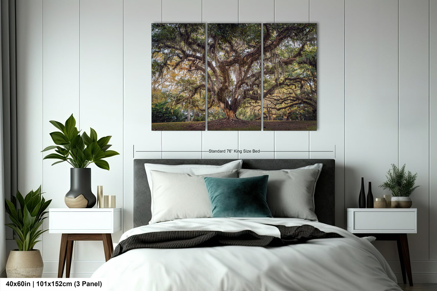 New Orleans Elegance: Wall Art Print Audubon Park's Iconic Tree of Life New Orleans, Louisiana Spanish Moss