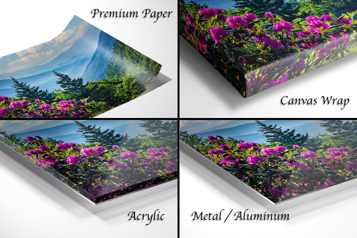Blue Ridge Mountains and Rhododendrons, Blue Ridge Parkway, North Carolina, Photography wall art