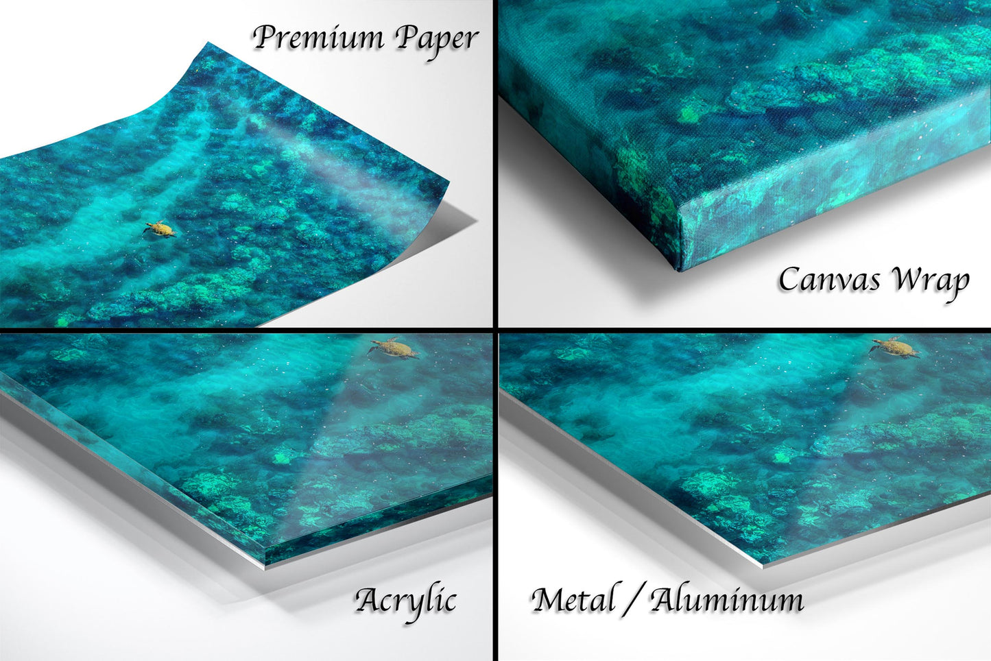 Sea Turtle Wall Art - Aerial Ocean Photography Print, Tropical Underwater Decor, Marine Life Artwork for Coastal Homes