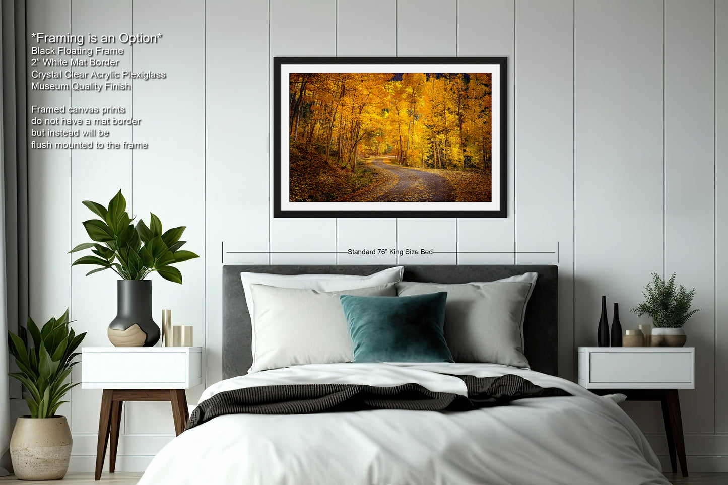 Colorado Aspens, Curvy road, autumn color, Little Cimarron Valley, Rocky Mountains, golden leaves, Photography wall art