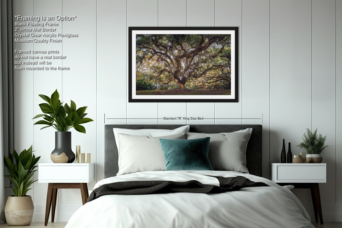 New Orleans Elegance: Wall Art Print Audubon Park's Iconic Tree of Life New Orleans, Louisiana Spanish Moss
