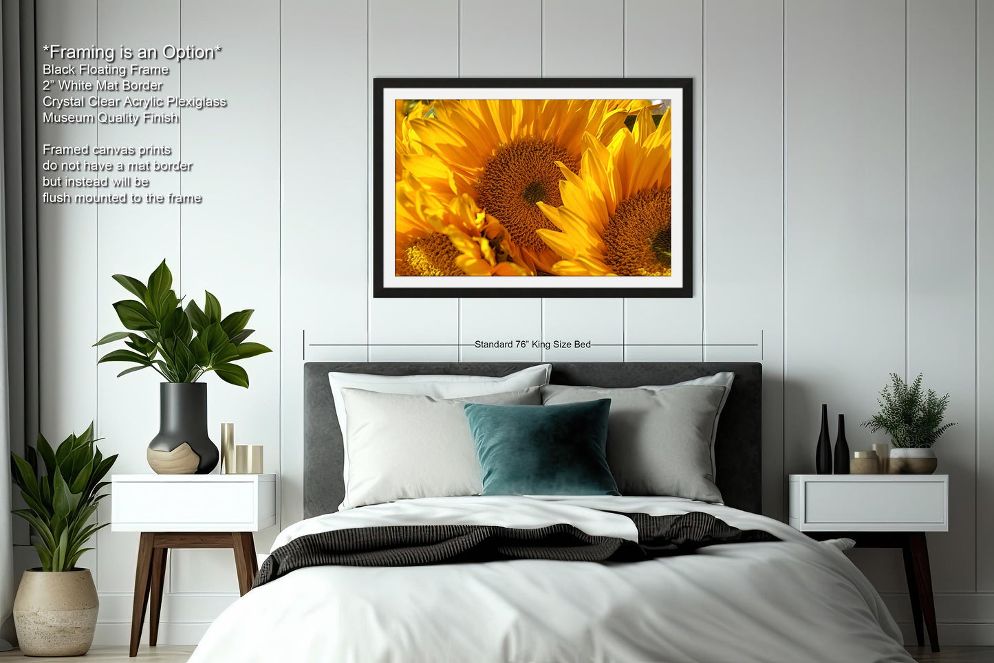 Sunflowers, Sunflower fields, Flowers, Giant Sunflowers, Helianthus, Photography Print, Acrylic, Canvas, Metal