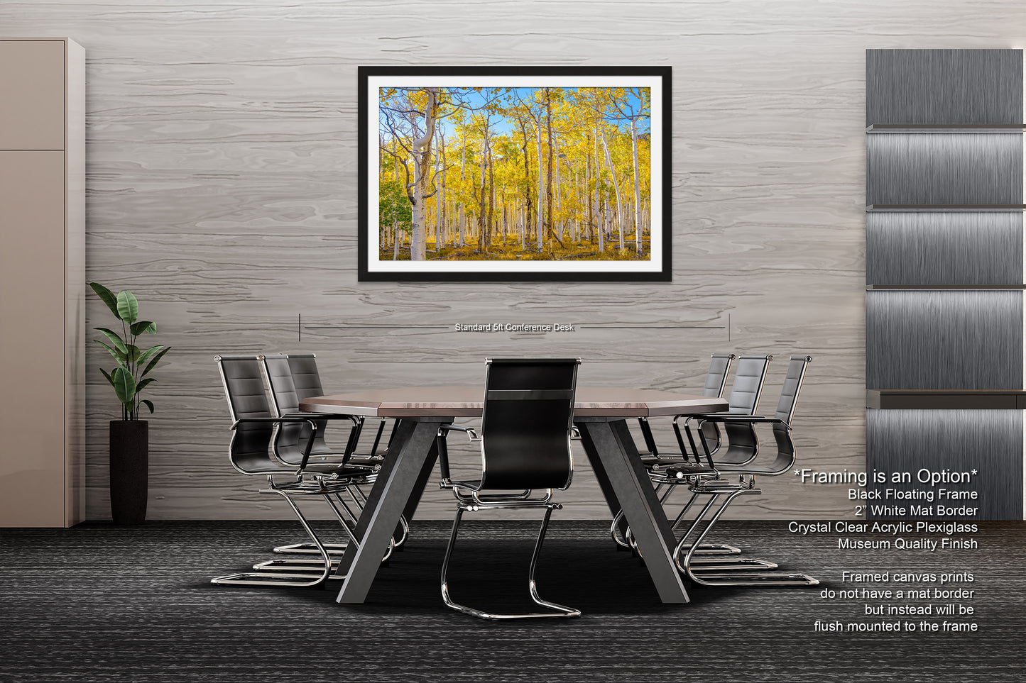 Fall Aspen Trees Wall Art, Pando / Birch Tree / Large Forest Print Nature / Canvas Wall Decor / Acrylic / Metal / Photography