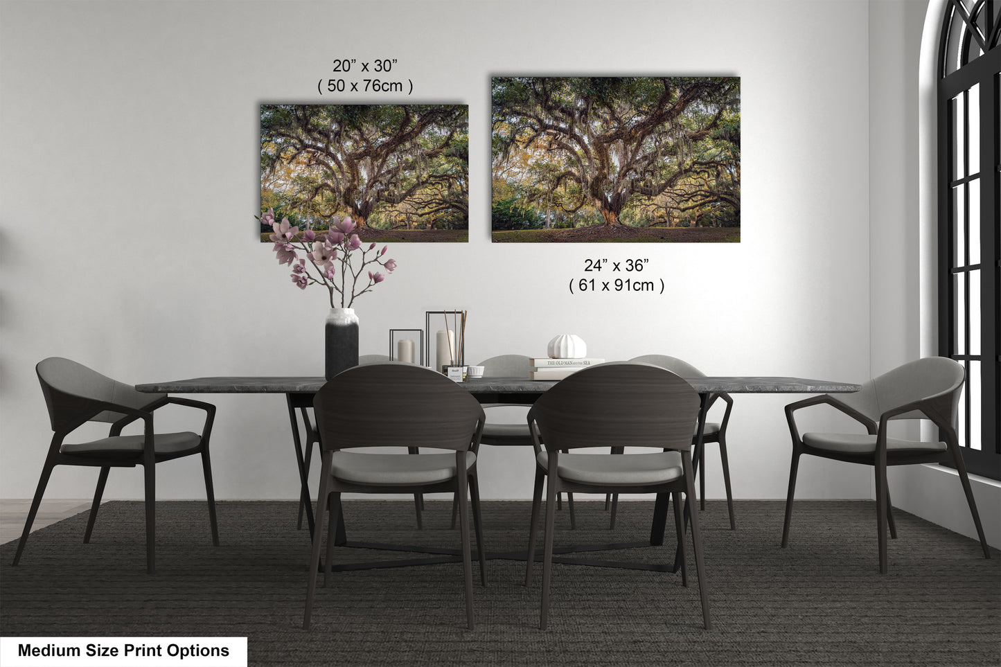 New Orleans Elegance: Wall Art Print Audubon Park's Iconic Tree of Life New Orleans, Louisiana Spanish Moss