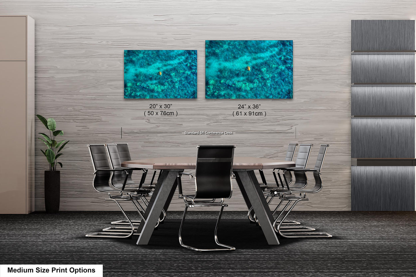 Sea Turtle Wall Art - Aerial Ocean Photography Print, Tropical Underwater Decor, Marine Life Artwork for Coastal Homes