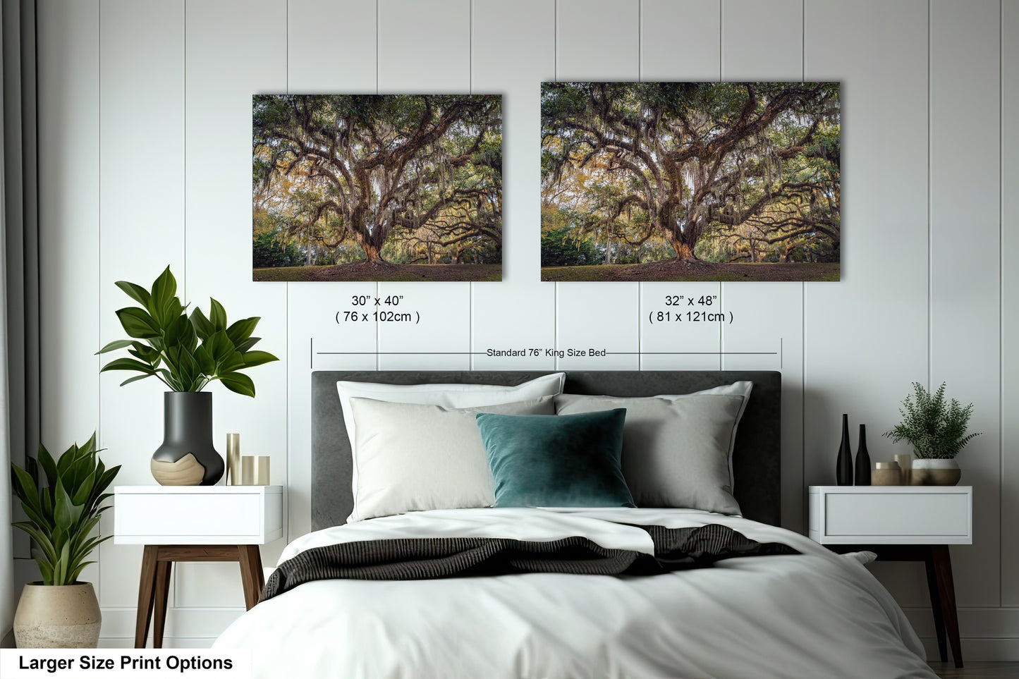 New Orleans Elegance: Wall Art Print Audubon Park's Iconic Tree of Life New Orleans, Louisiana Spanish Moss