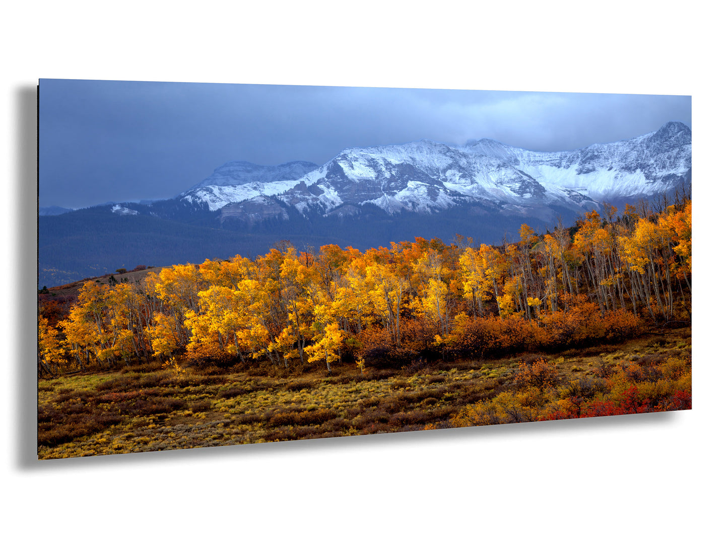 Colorado Mountains in Autumn, Aspens, Dallas Divide, Ridgway, Telluride, Photography wall art