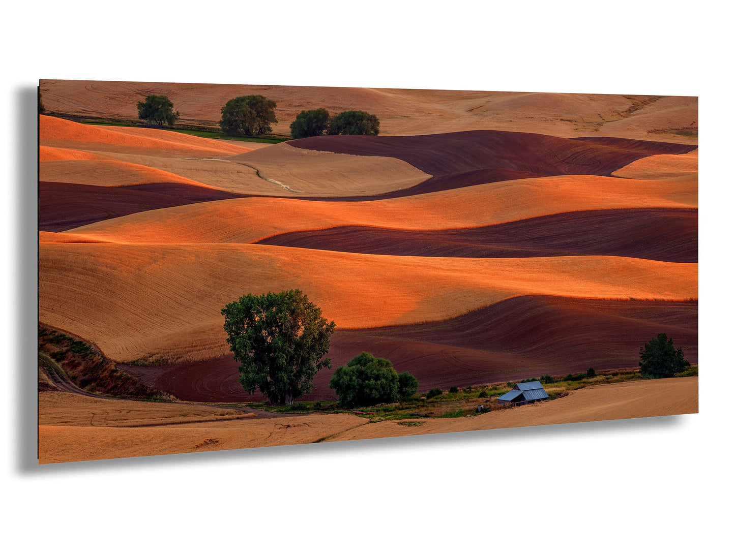 Sunset Over the Palouse Serene Wheat Fields in Eastern Washington