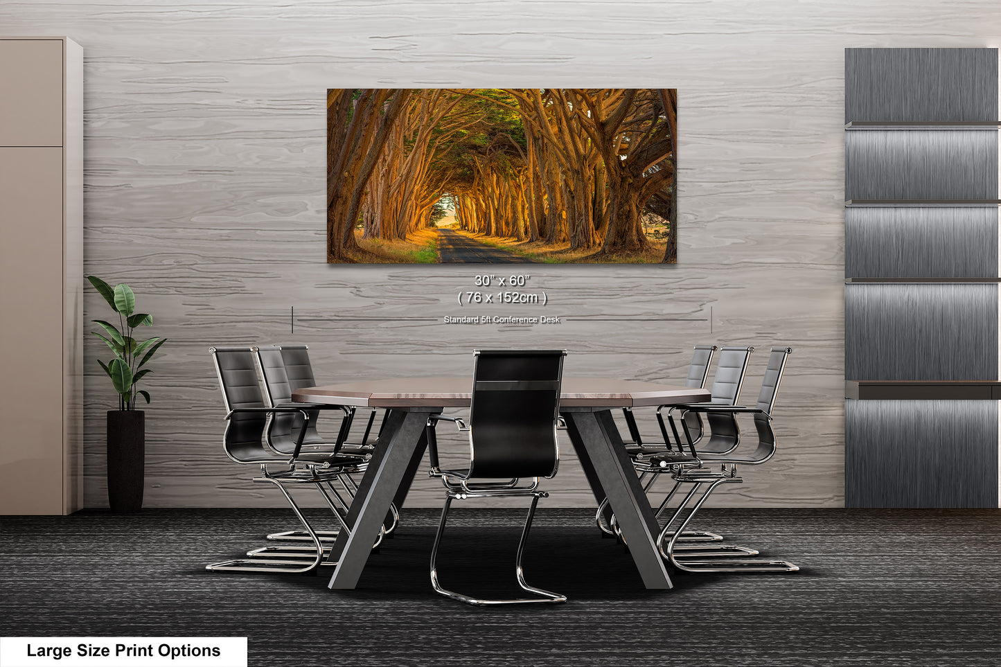 Point Reyes Tunnel of Trees Art Print - Northern California Landscape Photography