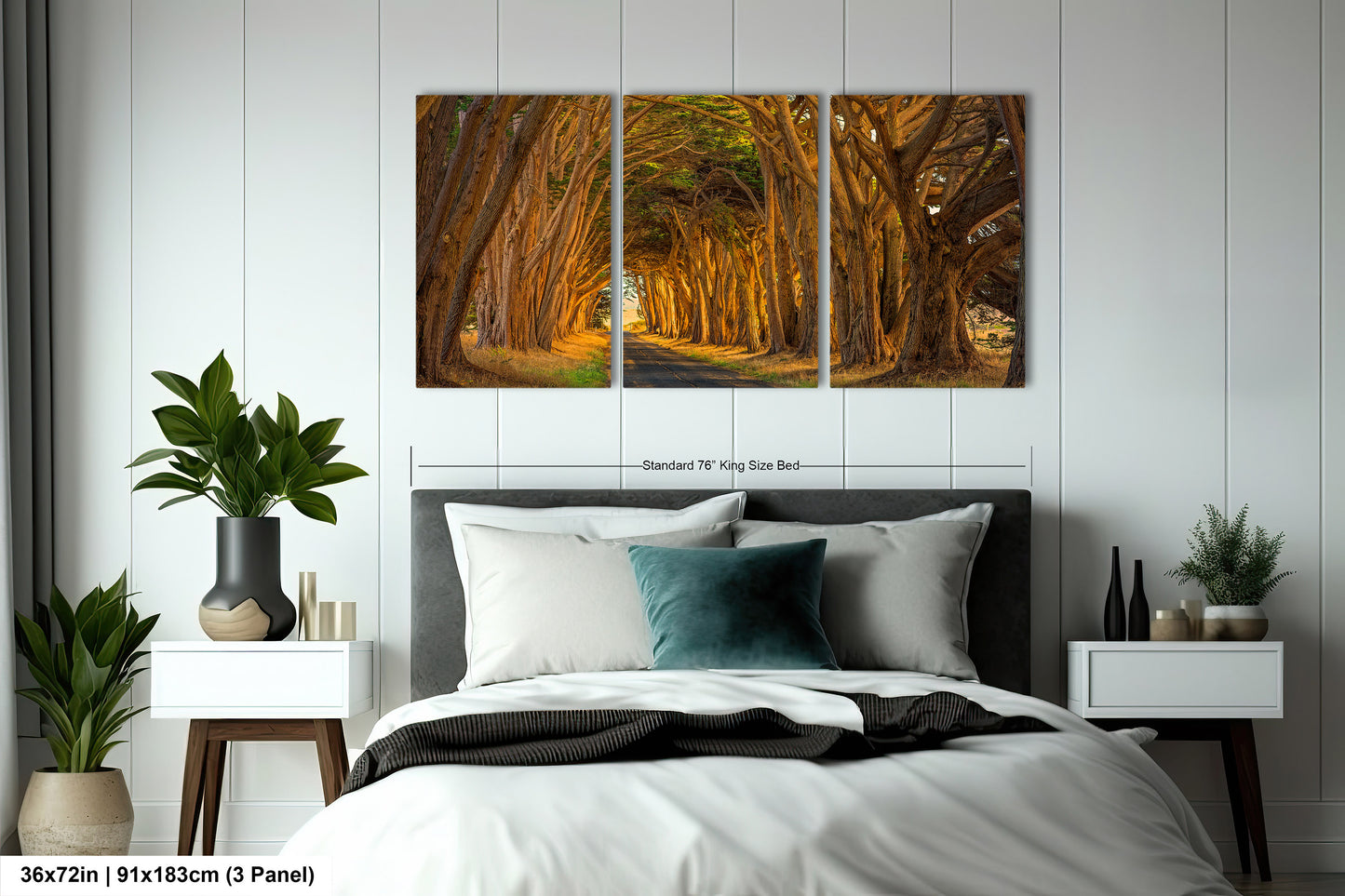 Point Reyes Tunnel of Trees Art Print - Northern California Landscape Photography