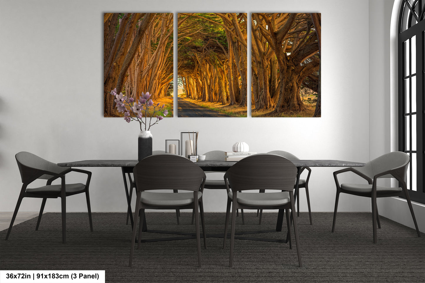Point Reyes Tunnel of Trees Art Print - Northern California Landscape Photography
