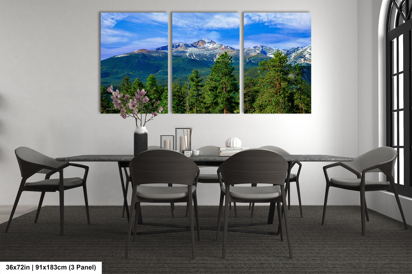 Rocky Mountain National Park, Longs Peak landscape picture, Colorado wall art, large framed art work, Estes Park, national park canvas