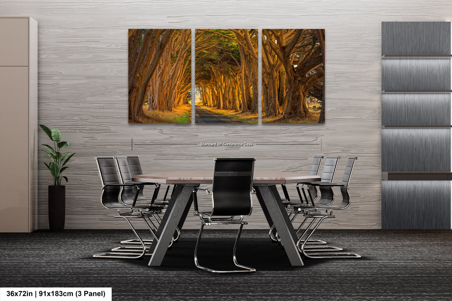 Point Reyes Tunnel of Trees Art Print - Northern California Landscape Photography