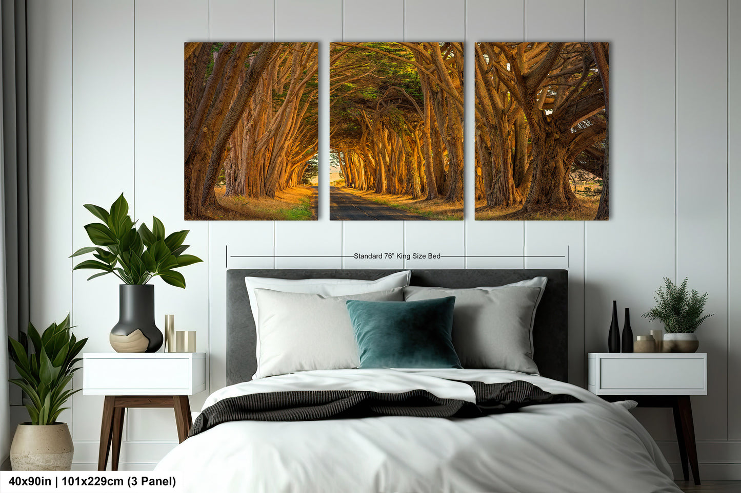 Point Reyes Tunnel of Trees Art Print - Northern California Landscape Photography