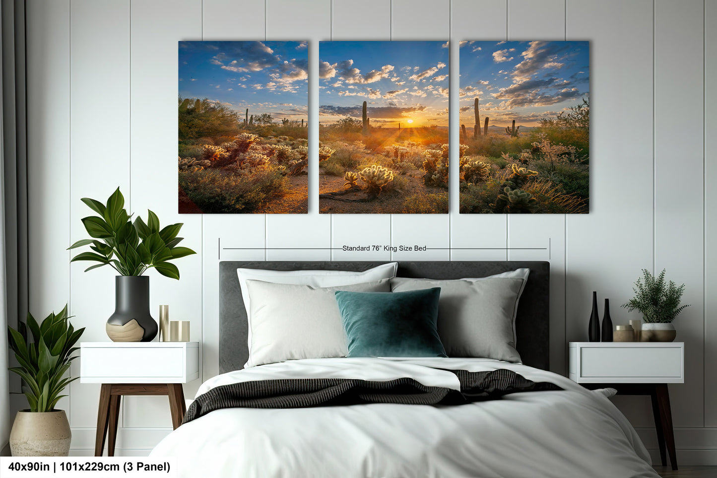Sonoran Desert Sunrise, Carefree Arizona, backlit saguaro cactus and cholla cactus, Photography wall art