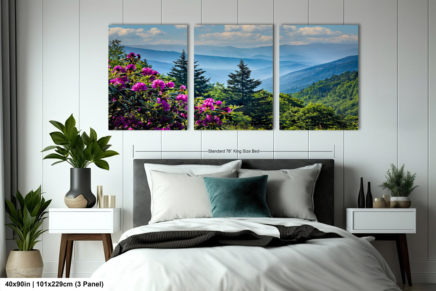 Blue Ridge Mountains and Rhododendrons, Blue Ridge Parkway, North Carolina, Photography wall art