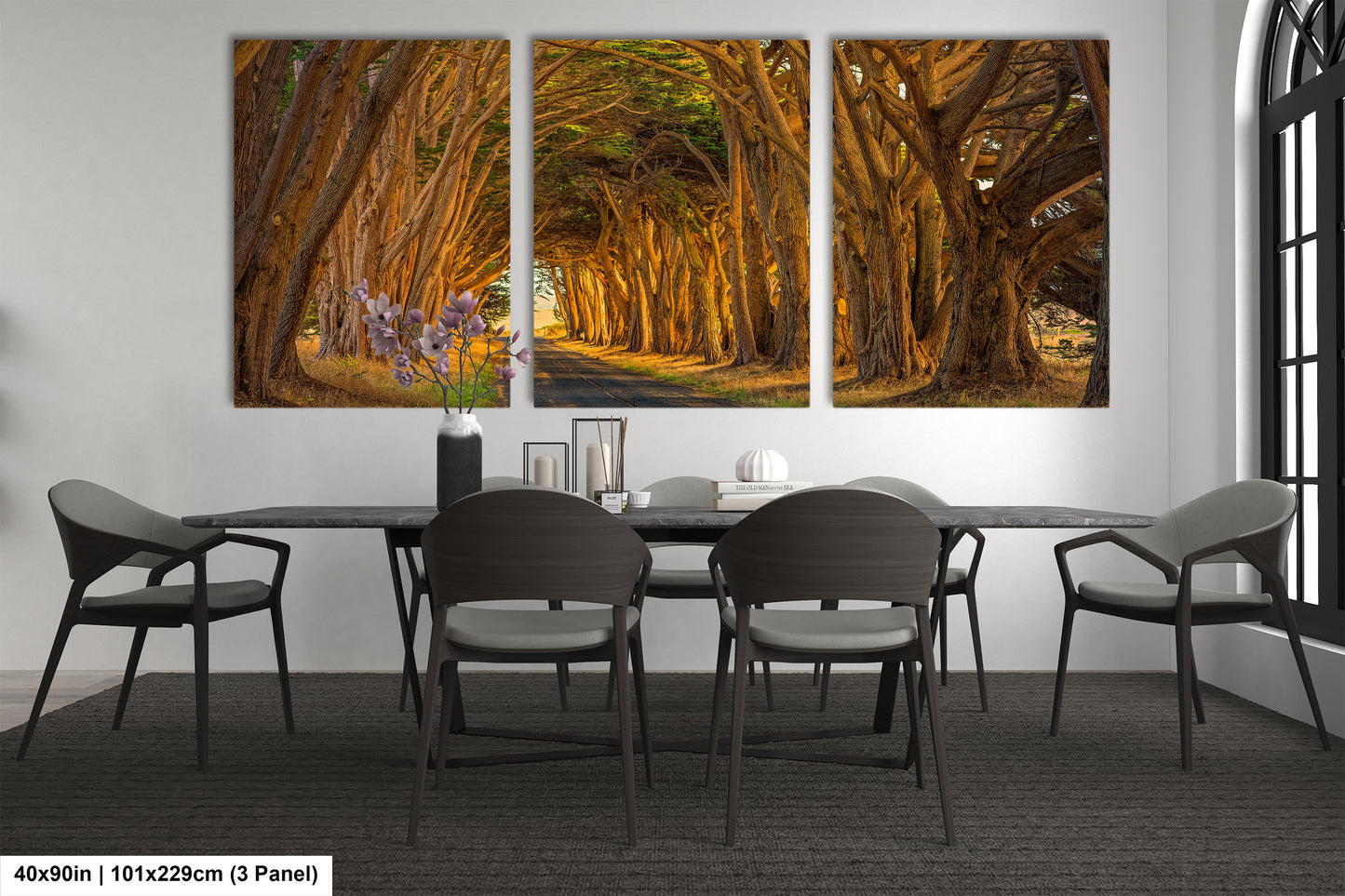Point Reyes Tunnel of Trees Art Print - Northern California Landscape Photography