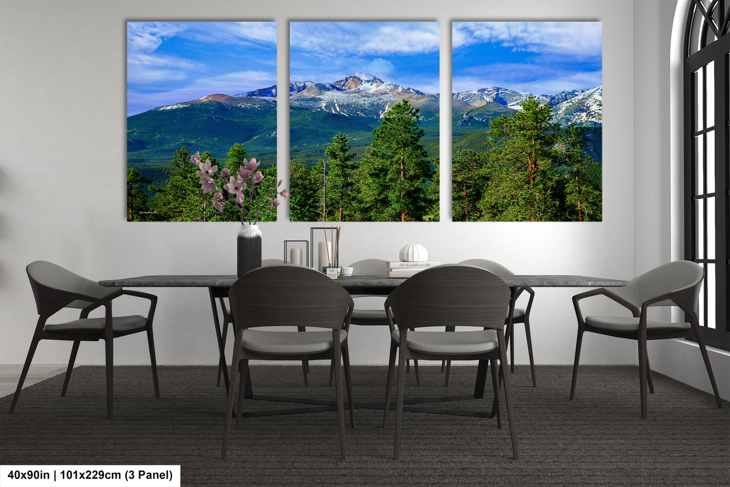 Rocky Mountain National Park, Longs Peak landscape picture, Colorado wall art, large framed art work, Estes Park, national park canvas