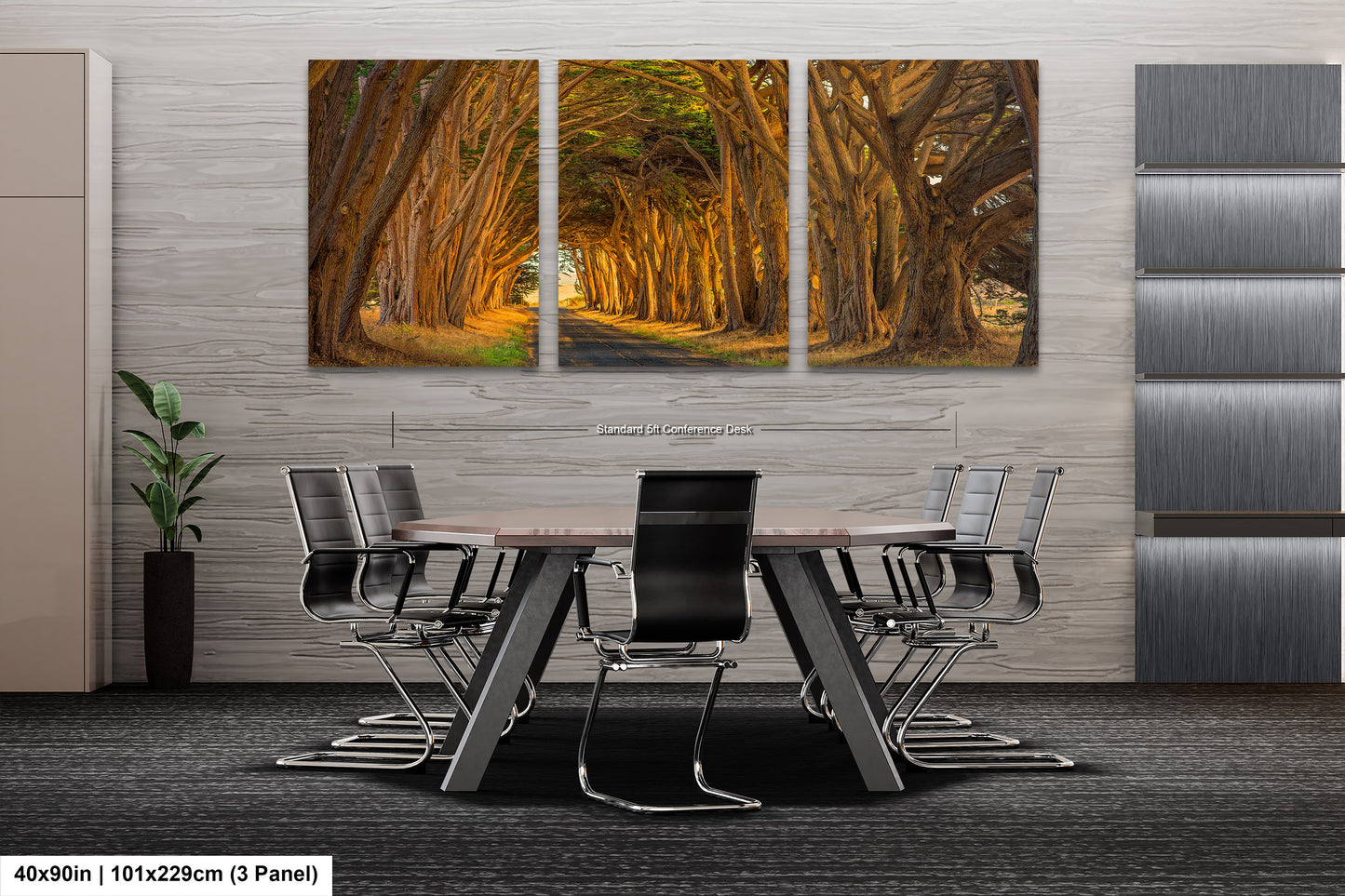 Point Reyes Tunnel of Trees Art Print - Northern California Landscape Photography
