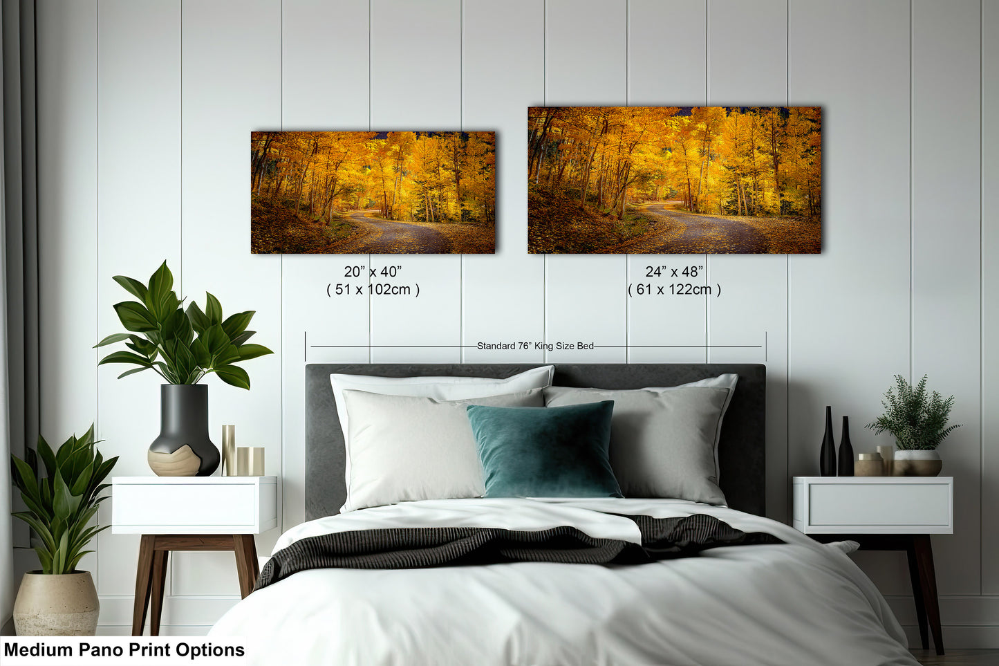 Colorado Aspens, Curvy road, autumn color, Little Cimarron Valley, Rocky Mountains, golden leaves, Photography wall art
