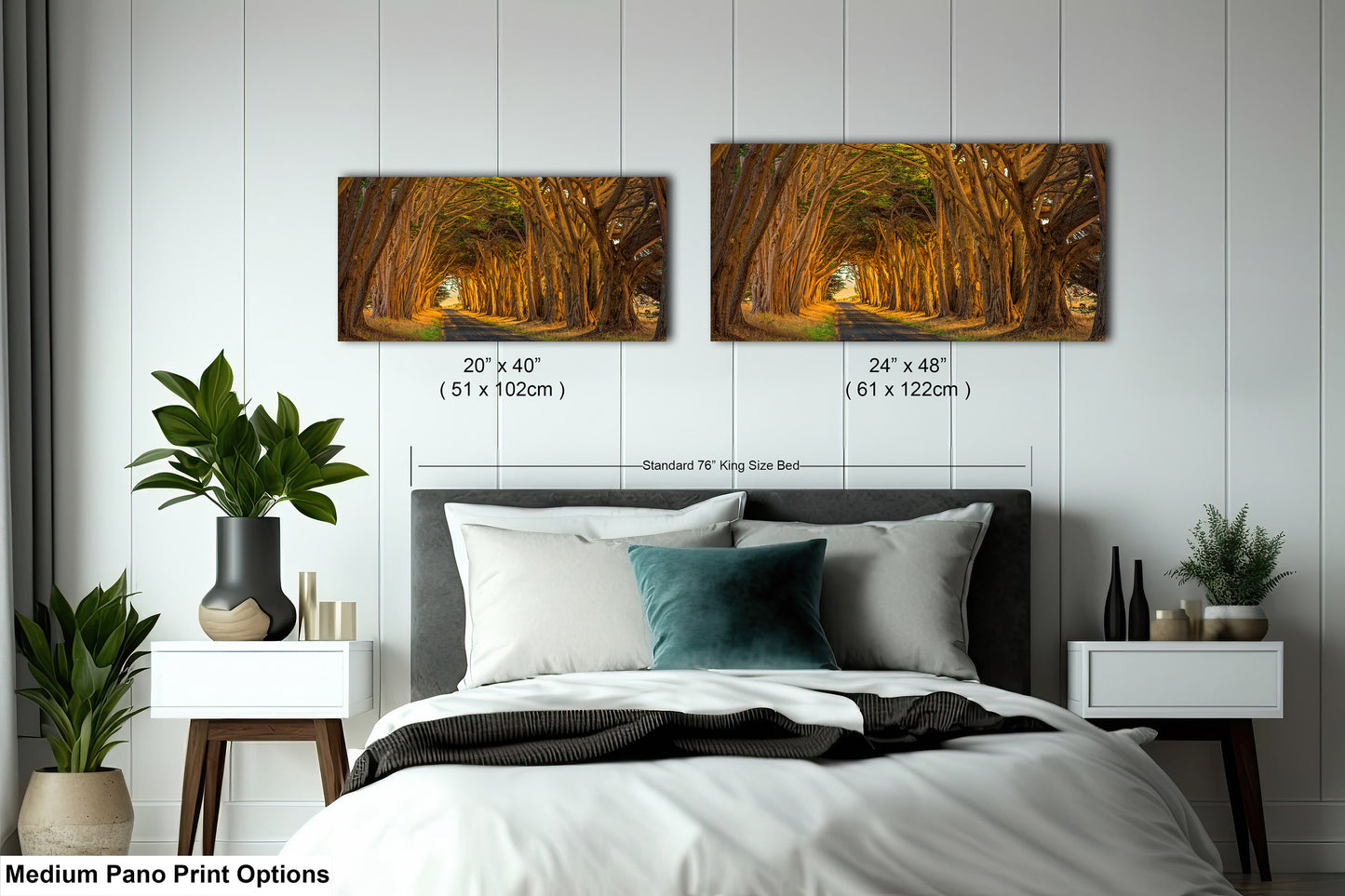Point Reyes Tunnel of Trees Art Print - Northern California Landscape Photography