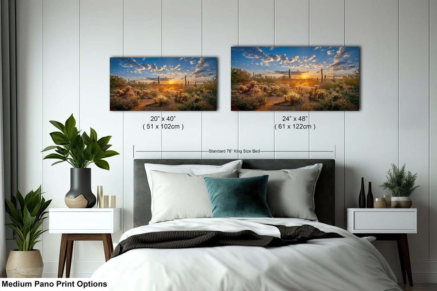 Sonoran Desert Sunrise, Carefree Arizona, backlit saguaro cactus and cholla cactus, Photography wall art
