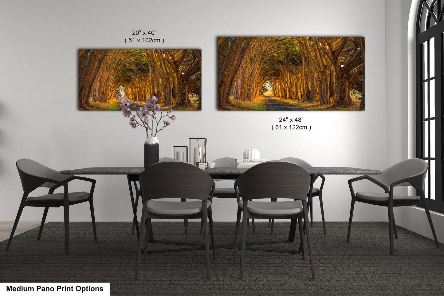 Point Reyes Tunnel of Trees Art Print - Northern California Landscape Photography