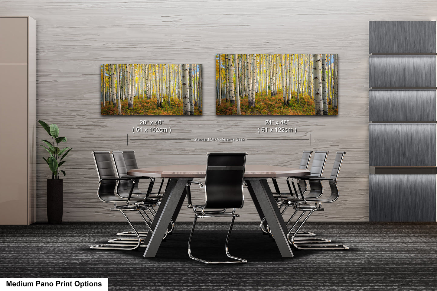 Aspens in autumn, Crested Butte, Colorado. Kebler Pass.