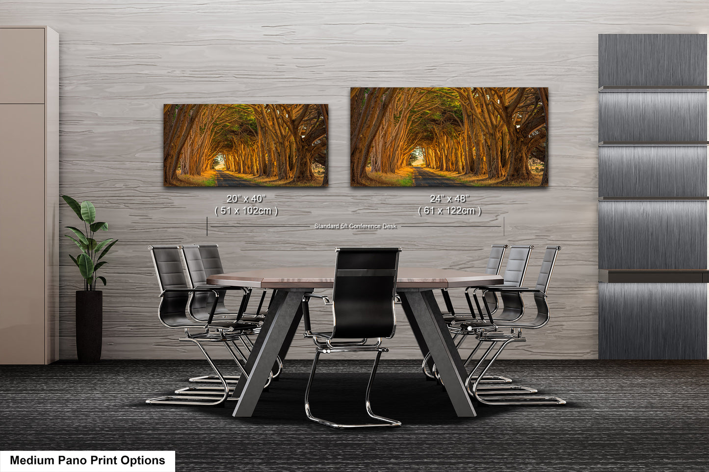Point Reyes Tunnel of Trees Art Print - Northern California Landscape Photography