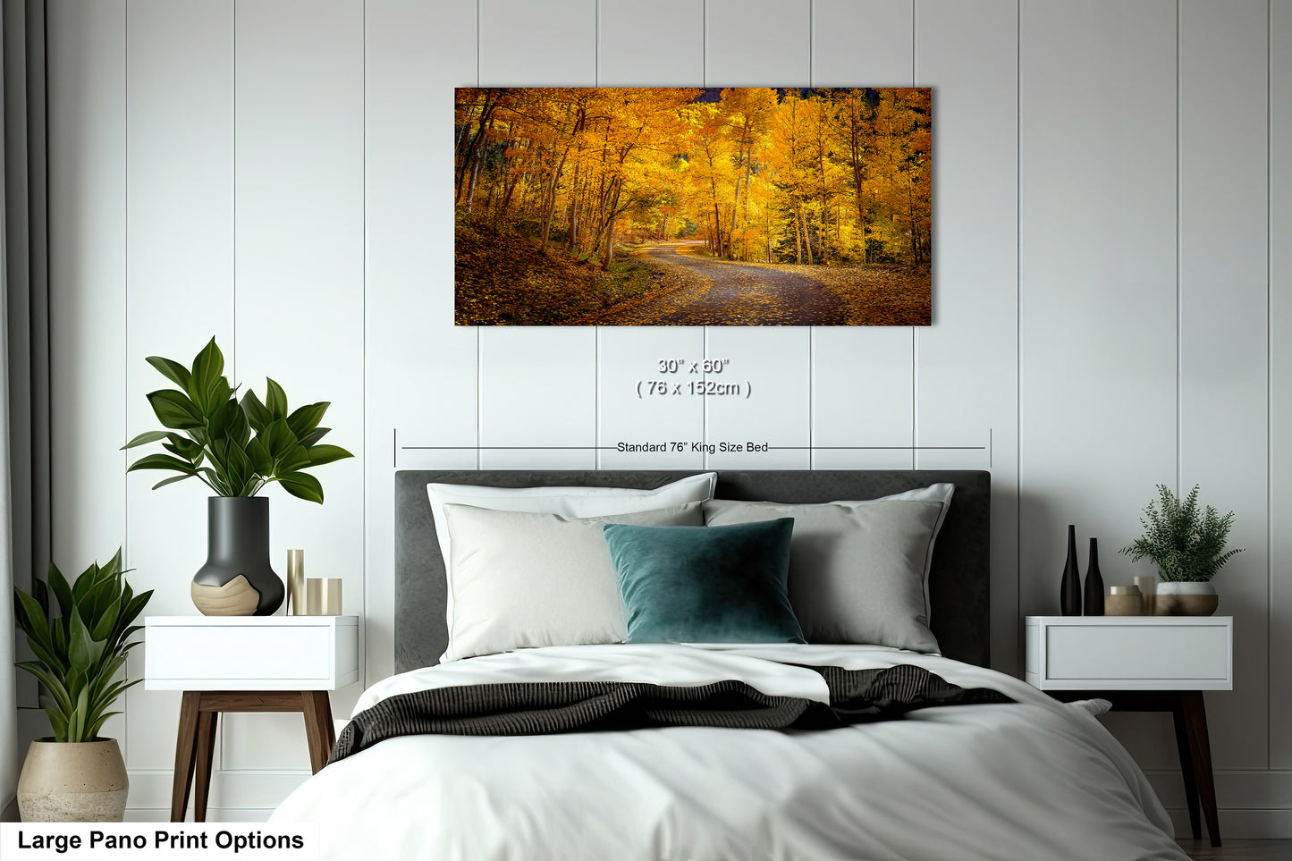 Colorado Aspens, Curvy road, autumn color, Little Cimarron Valley, Rocky Mountains, golden leaves, Photography wall art