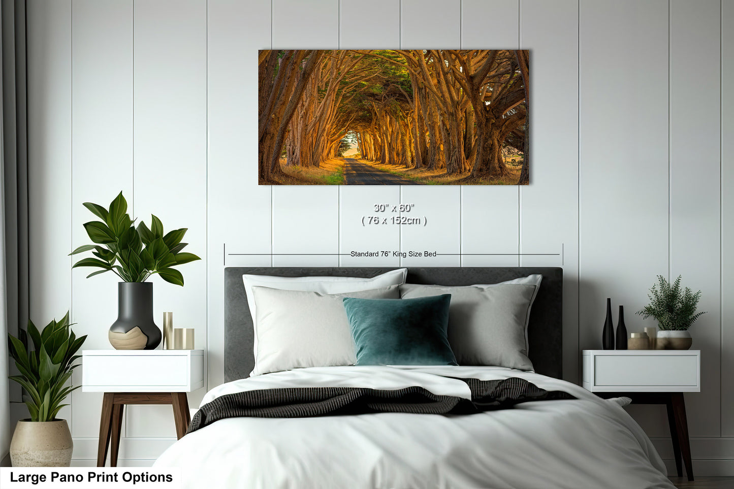 Point Reyes Tunnel of Trees Art Print - Northern California Landscape Photography