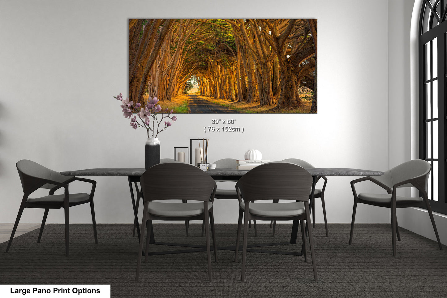 Point Reyes Tunnel of Trees Art Print - Northern California Landscape Photography