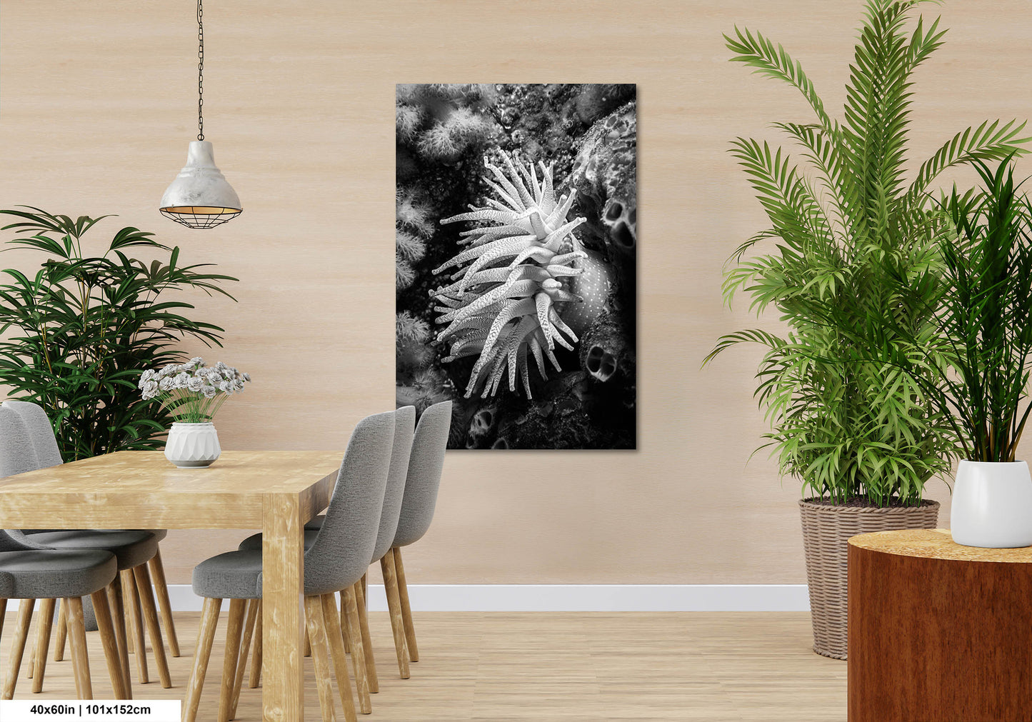 Sea Life Wall Art Sea Anemone Underwater Print in Black and White Ocean Lover Gift Coral Reef Art