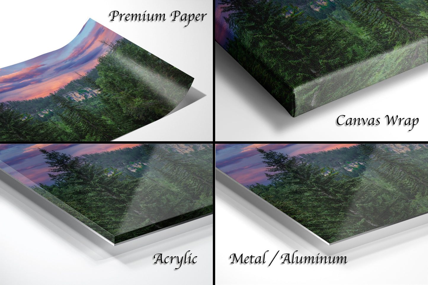 a series of four photos of a forest