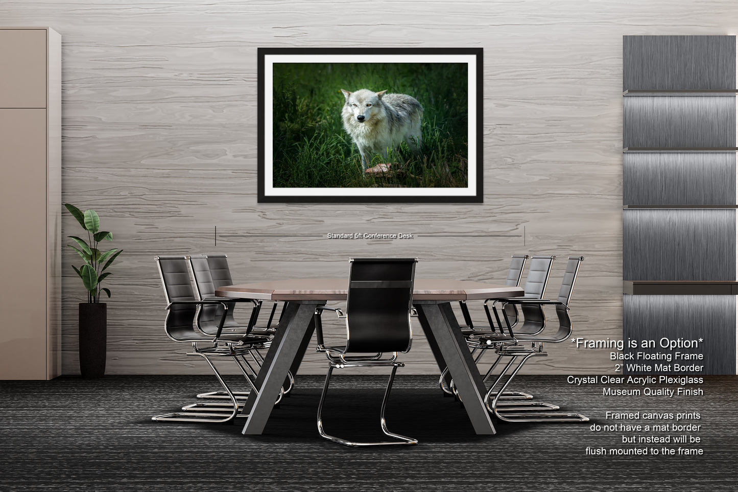 a picture of a white wolf in the grass
