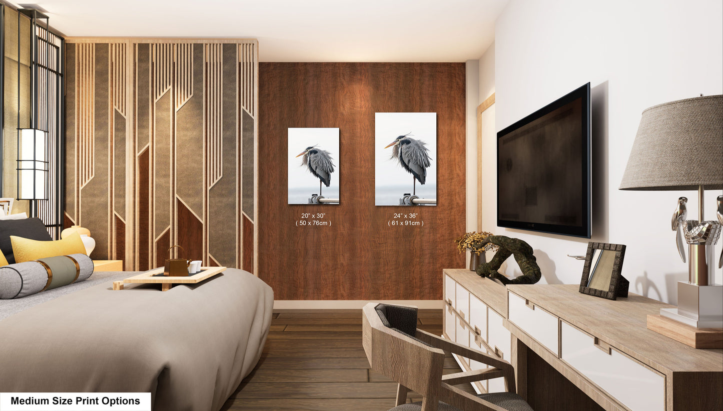 a bedroom with a large bed and a flat screen tv