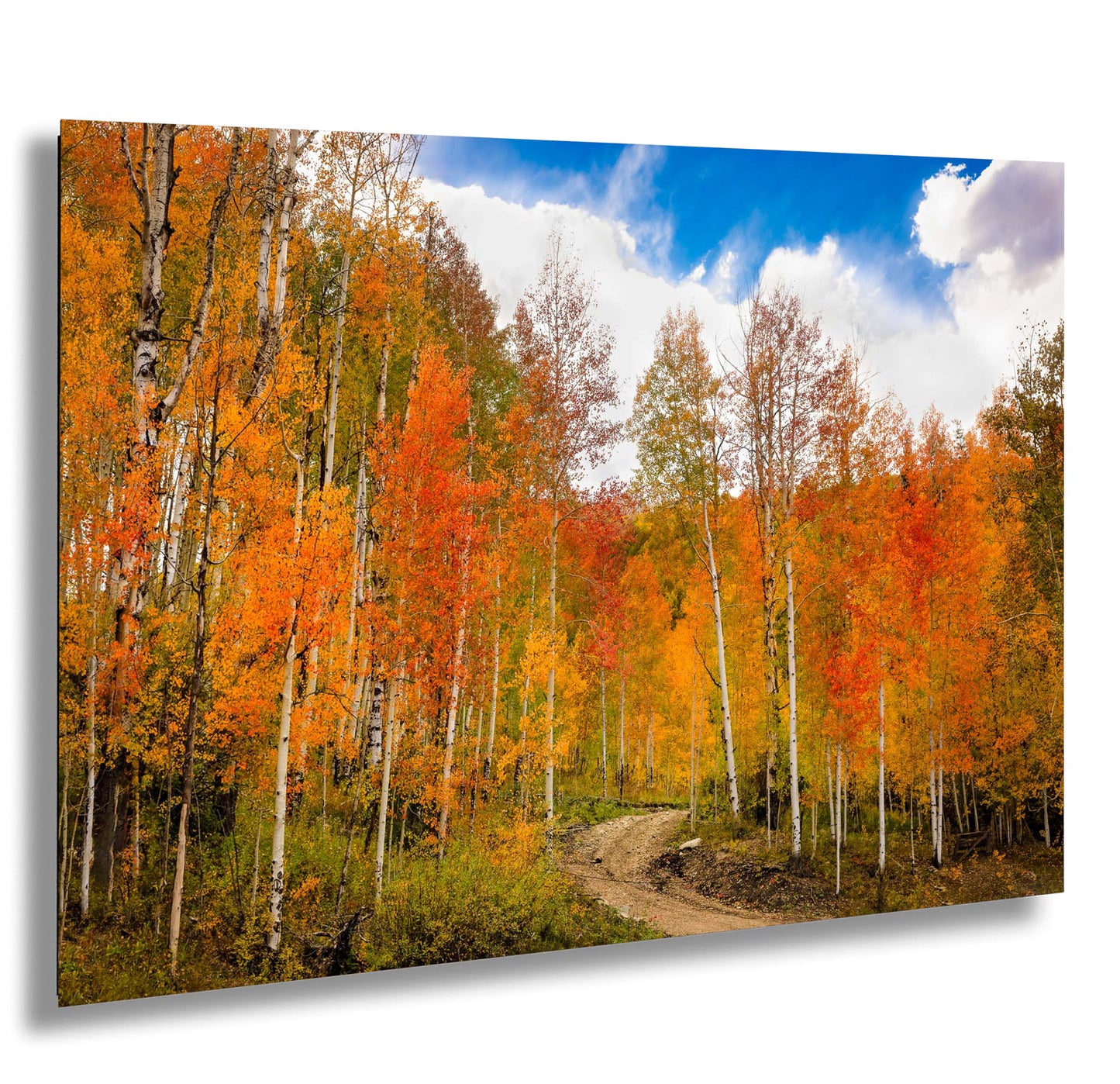 a dirt road surrounded by trees with orange and yellow leaves