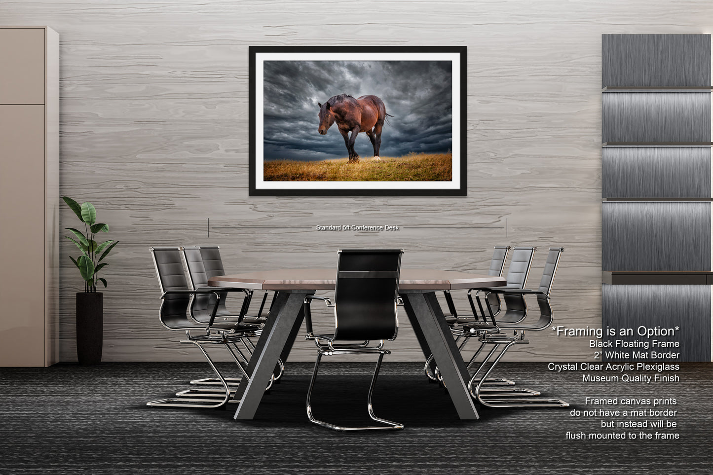 a picture of a horse standing in a field